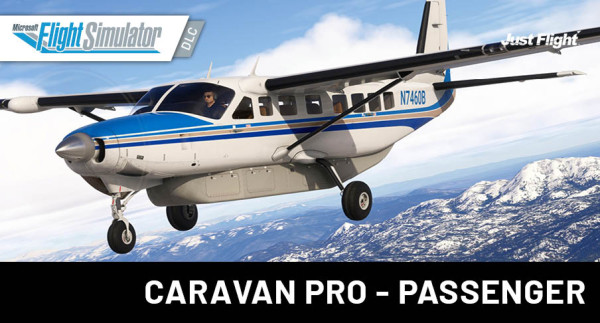 Black Square - Caravan Professional - Passenger MSFS