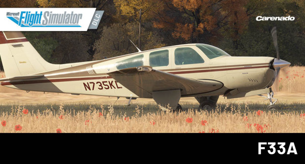 Carenado - F33A MSFS 2024