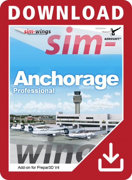 Anchorage professional