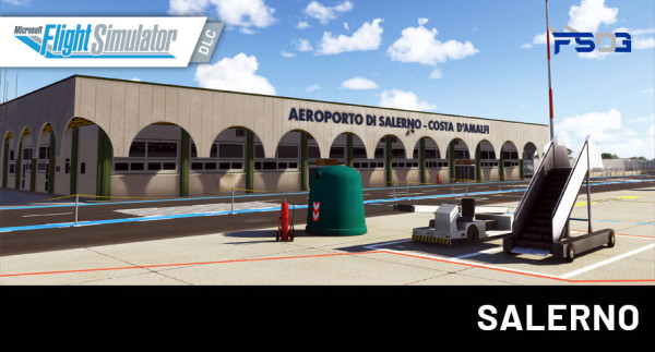 FSDG - Salerno MSFS